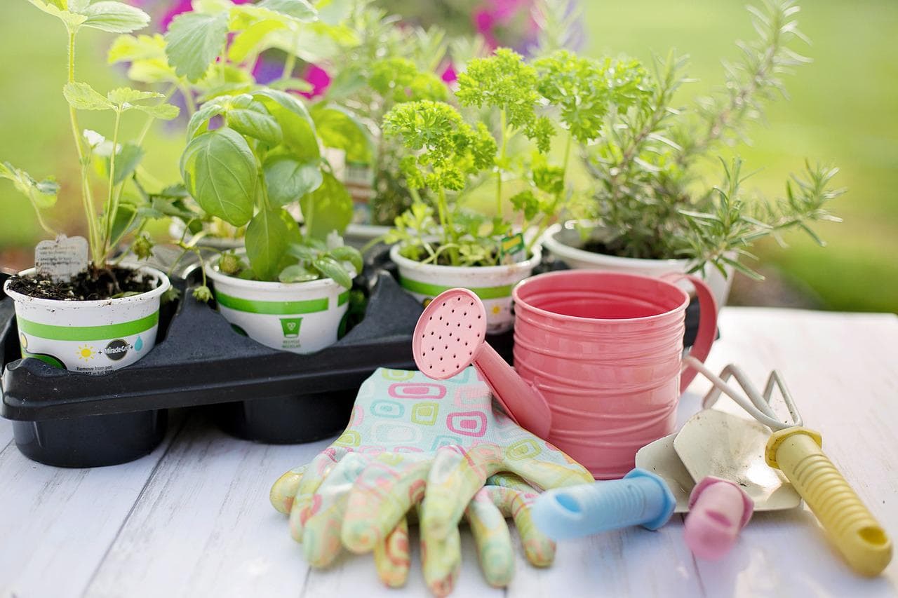 Gardening tools lying on a table