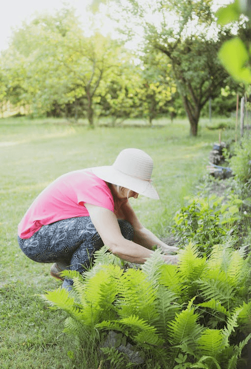  Woman gardening with care, nurturing plants in a sunny garden setting, fostering growth and connection with nature.